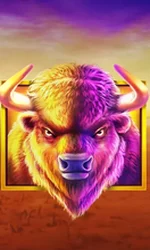Buffalo King