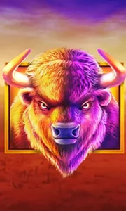 Buffalo King